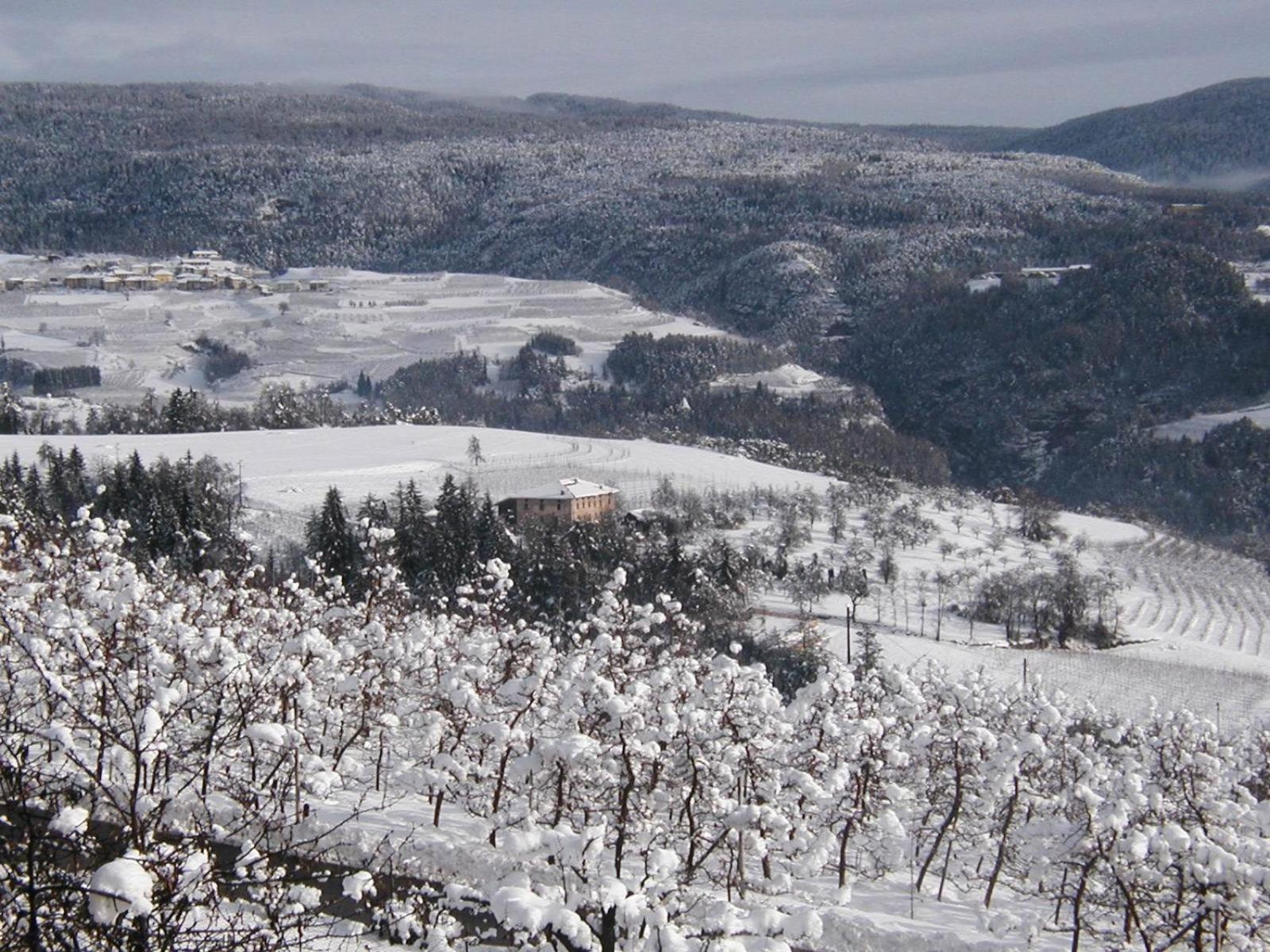 Locanda Alpina Брец Экстерьер фото